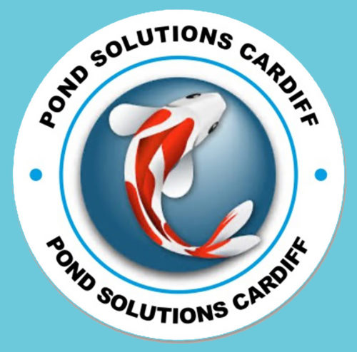 Pond Solutions Cardiff